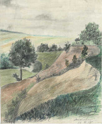 Павлов Иван Николаевич. Деревня Михайловская